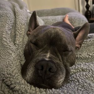 Meet your Posher, Ellie